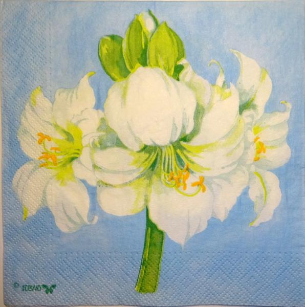 039 Lilies - 3-ply (apricot) - Stewo